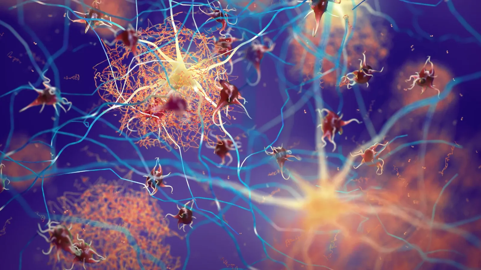 Astrocyte boost clears Alzheimer’s plaques and protects memory in mice