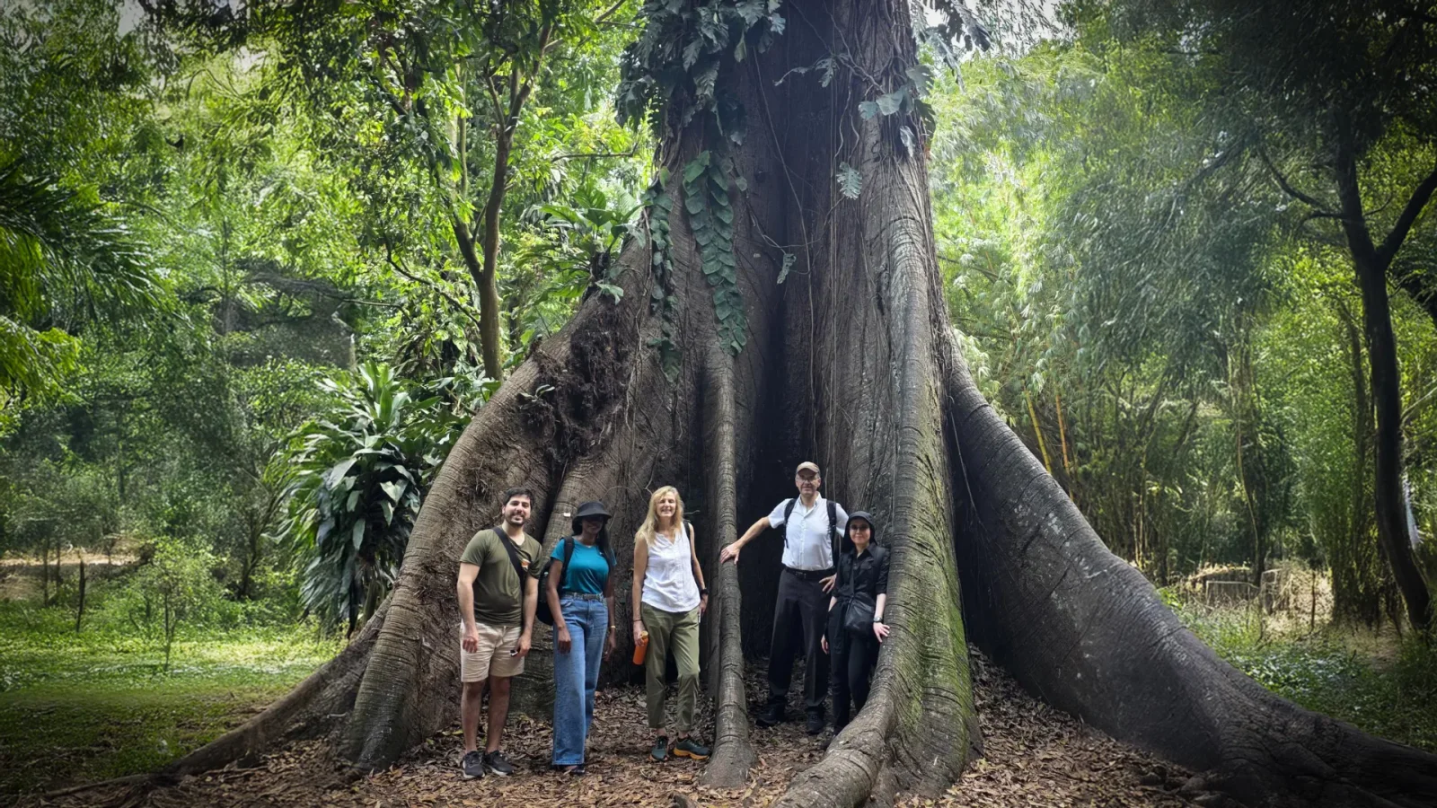 Africa’s forests switch from carbon sink to carbon source, prompting stronger conservation push