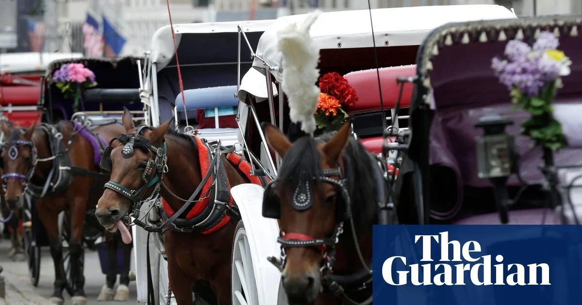 Teen Dies After Central Park Horse-Drawn Carriage Crash Sparks Safety Debate