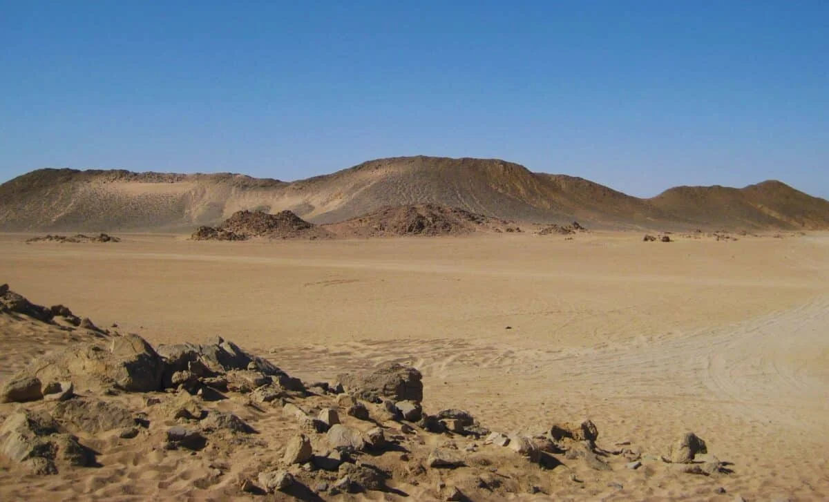 Egypt Fossil Rewrites Ape Origins, Expanding the Map Beyond East Africa