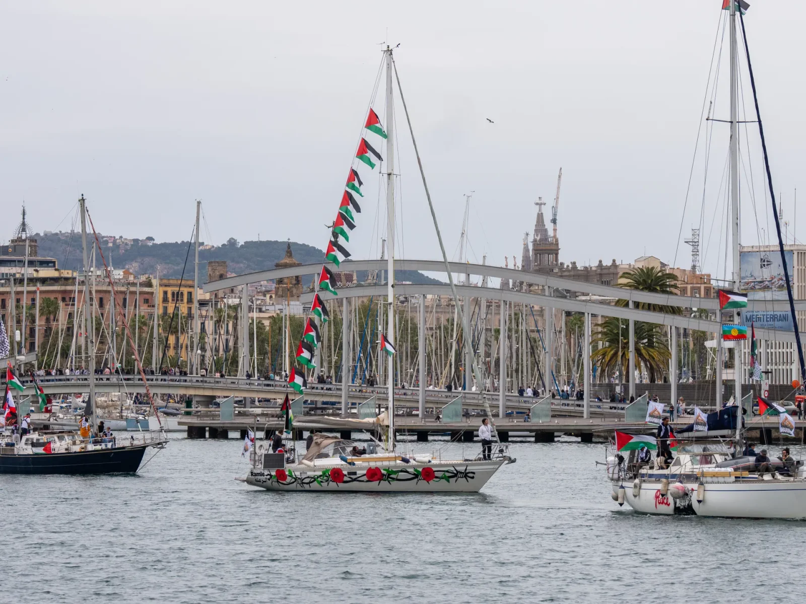 RSF condemns kidnapping of journalists aboard Gaza aid flotilla