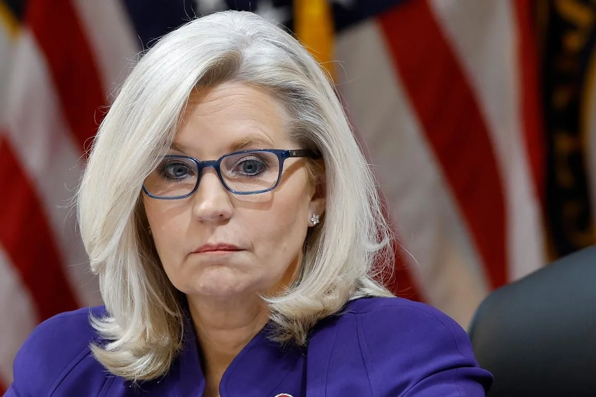 Liz Cheney's Anti-Trump Ad Blitz in New Hampshire.