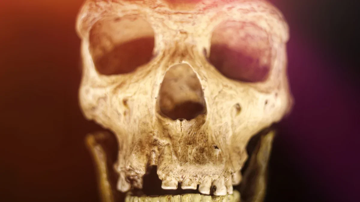 Neanderthals and Early Humans Shared Culture Across 20,000 Years, New Turkish Cave Finds Hint