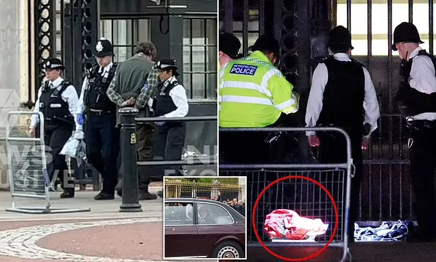Security concerns raised after incident at Buckingham Palace.