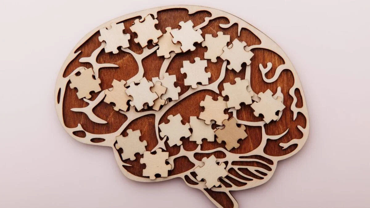 Aphantasia Challenges the Notion That Abstraction Demands Visual Imagery
