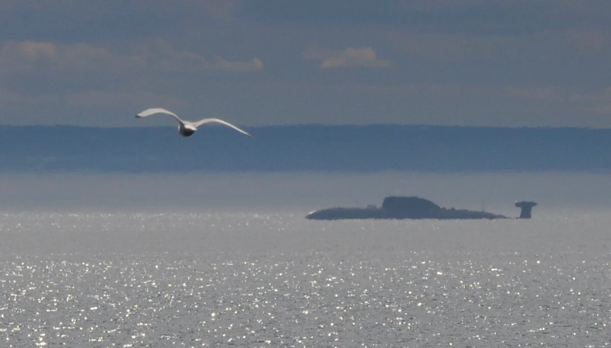 UK and Norway foil Russian covert mission near critical subsea cables