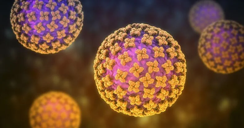 Quad-County Reports Hantavirus Case; Officials Advise Precautions