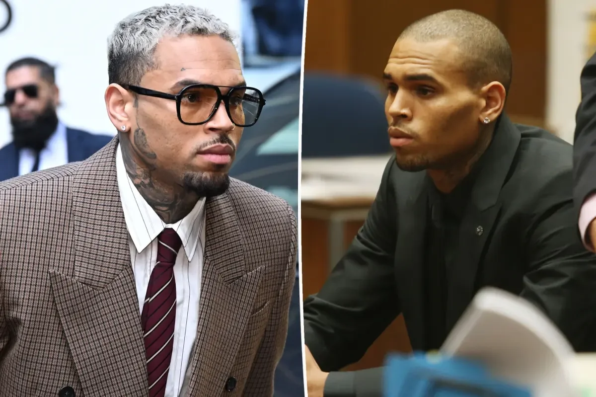 Chris Brown hit with $13 million verdict over housekeeper mauled by his dog