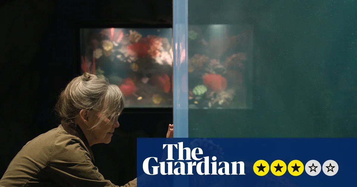 Sally Field Stars in a Soft-Hearted Octopus-Driven Netflix Drama