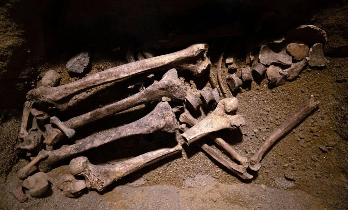 Bear Bones Recast Japan’s Ancient Past, Debunking Ushikawa Man