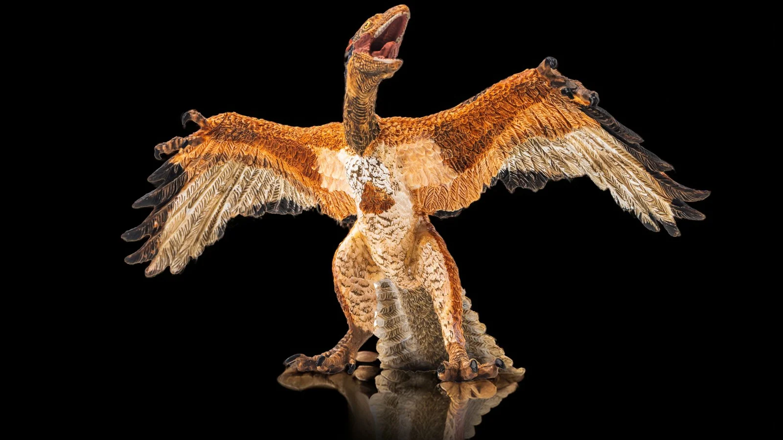 Feathered fossil seals birds' dinosaur origins