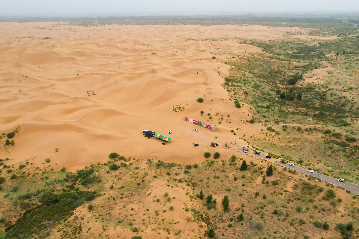 China’s Great Green Wall Grows Fast, Yet Long-Term Carbon Storage Remains Unclear