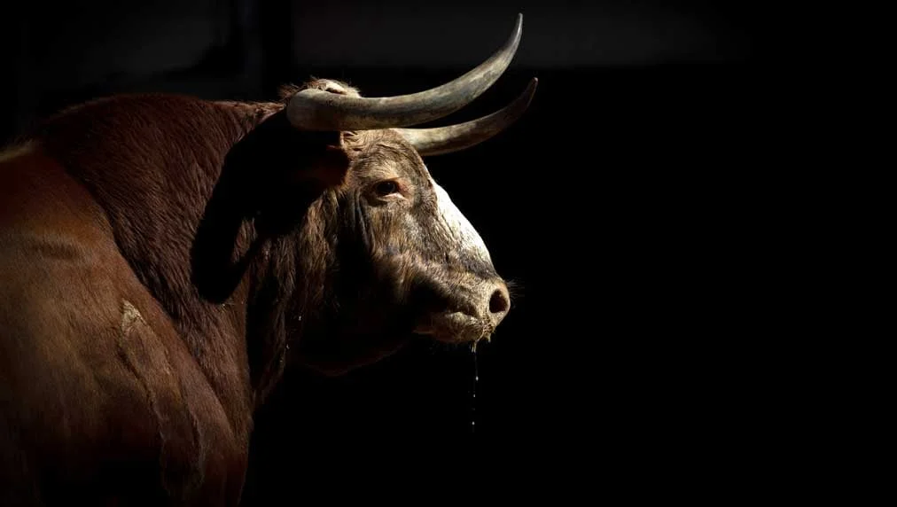 Market Volatility Continues Amid Banking Crisis Concerns.