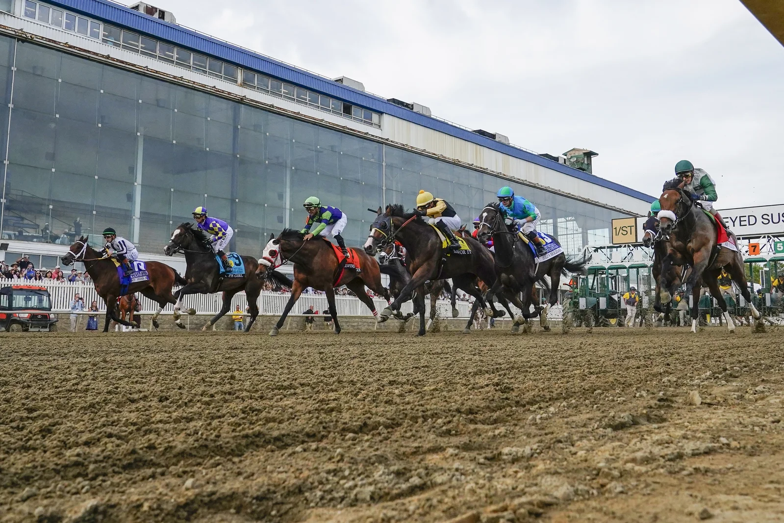 DRF Experts Preview Preakness at Laurel Park with Top Picks