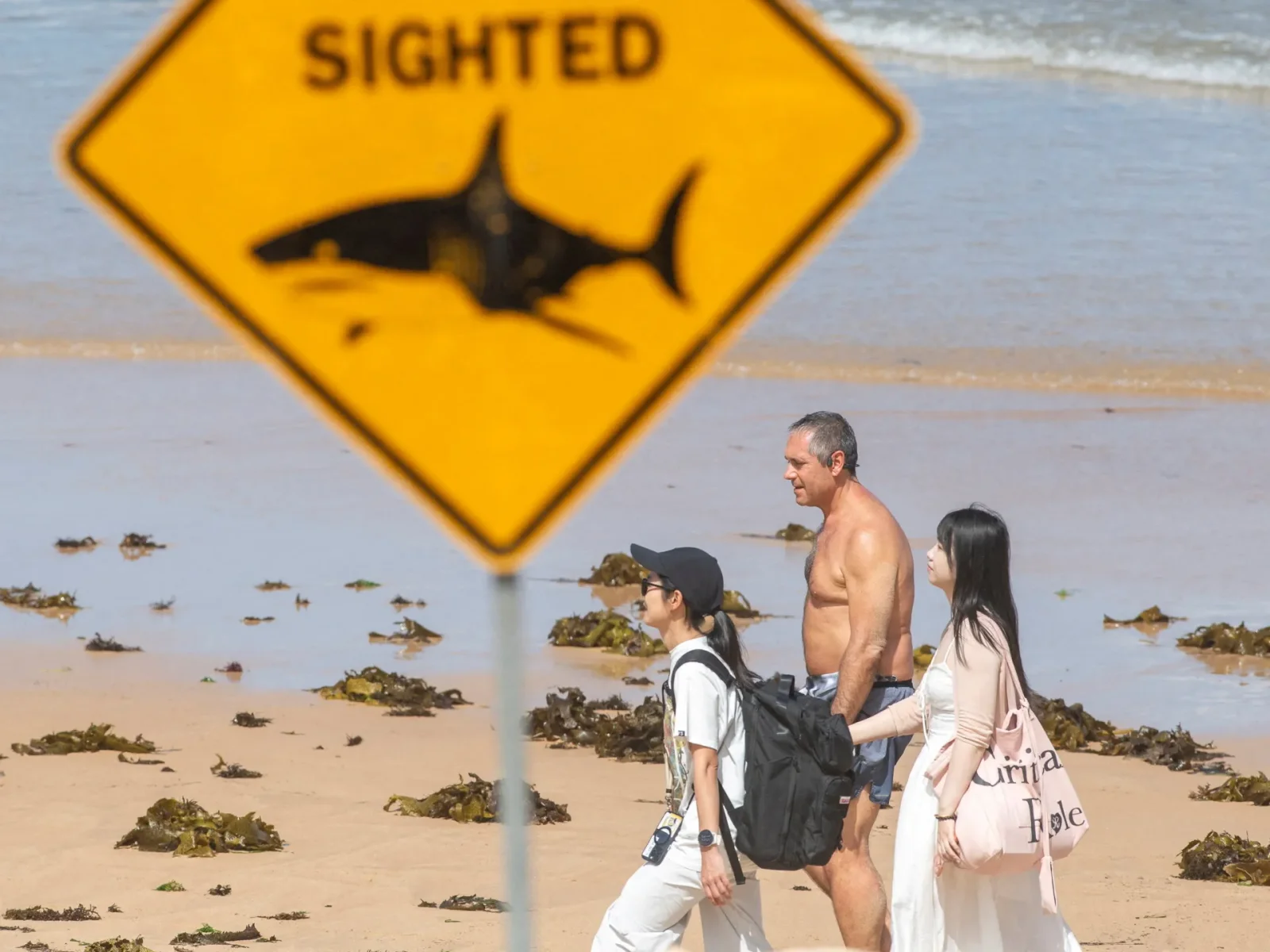 Fatal great white attack kills man near Rottnest Island, Western Australia