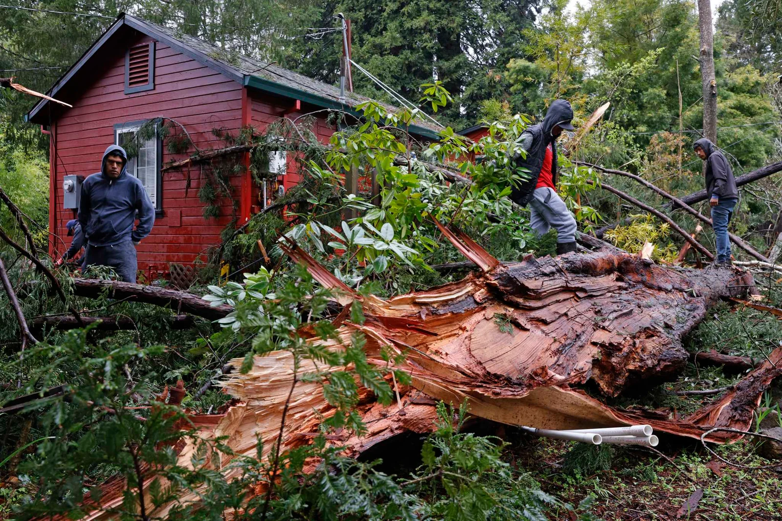 "Bay Area Braces for Heavy Rain and Strong Winds in Tuesday Storm"
