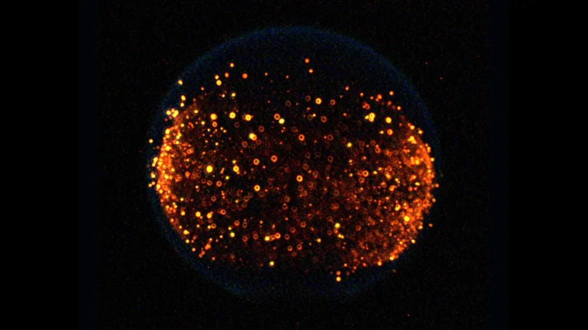 NASA Aims to Light Fires on the Moon to Study Lunar-Gravity Fire Safety