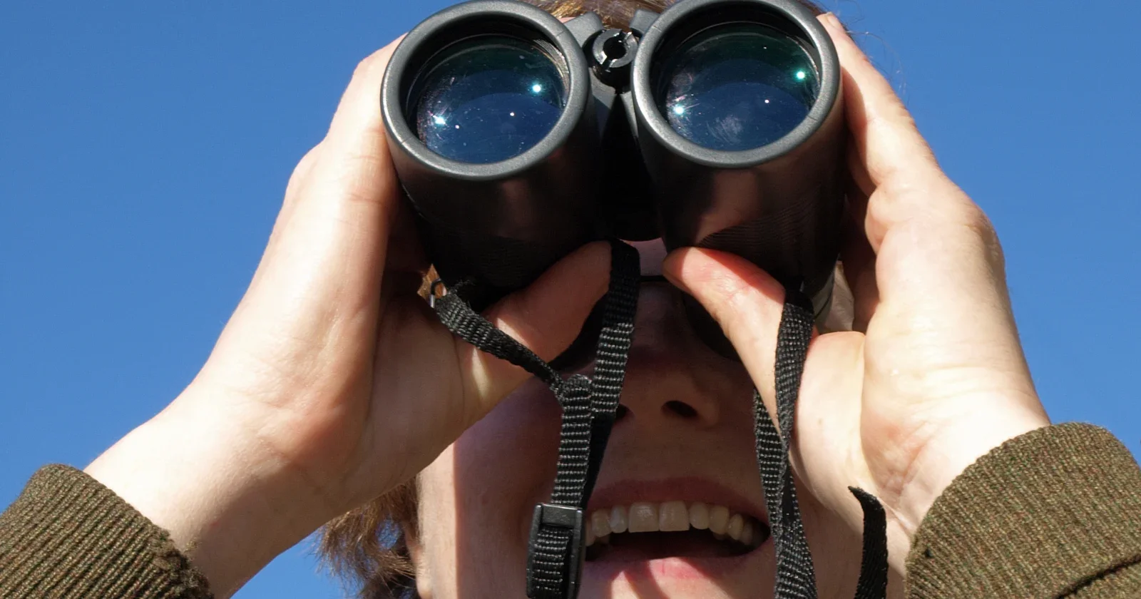 Expert Birdwatchers’ Brains Reveal Tuned Wiring for Novel Bird Perception