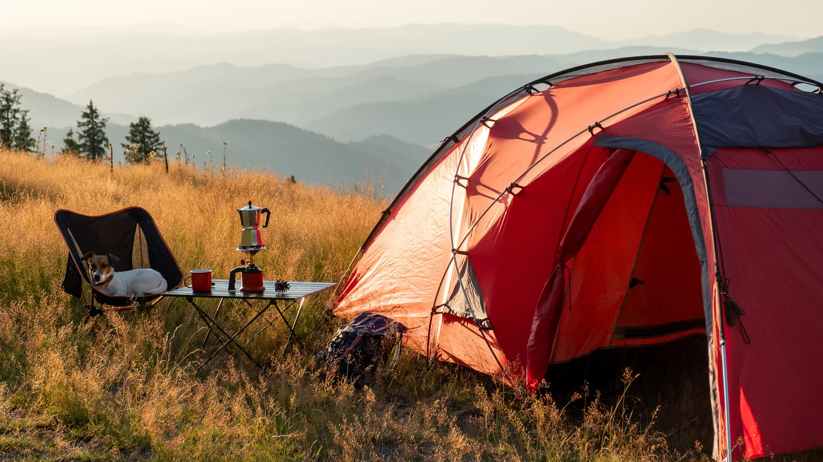 Compact Camp, Big Comfort: 8 Foldable Home Depot Finds