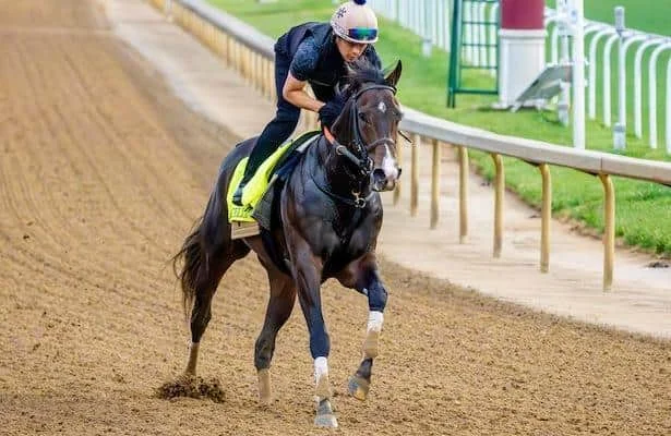 Preakness Stakes 2026 Preview: Odds, Posts, and a 14-Horse Showdown