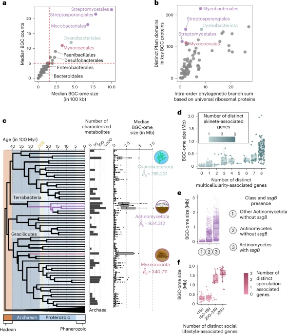 Multicellularity Expands Microbial Chemical Repertoires