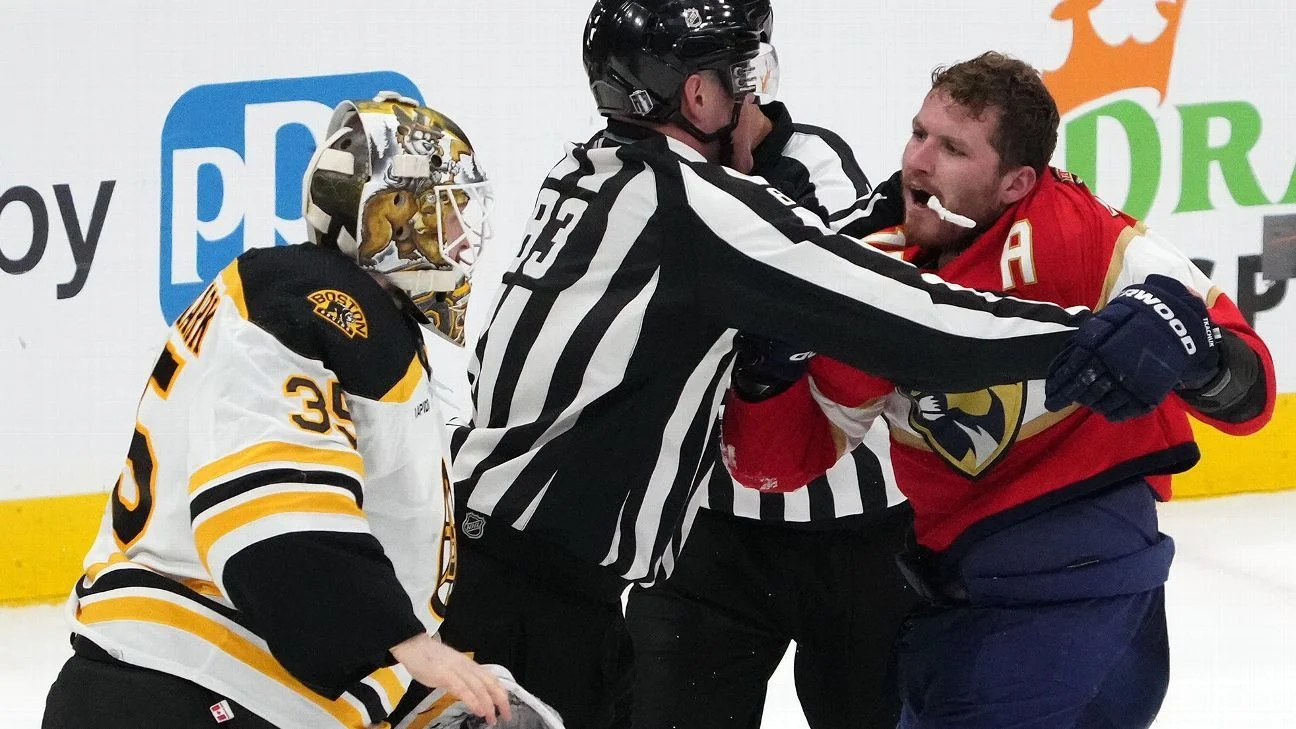 Bruins dominate Panthers in playoff series despite Krejci's absence.
