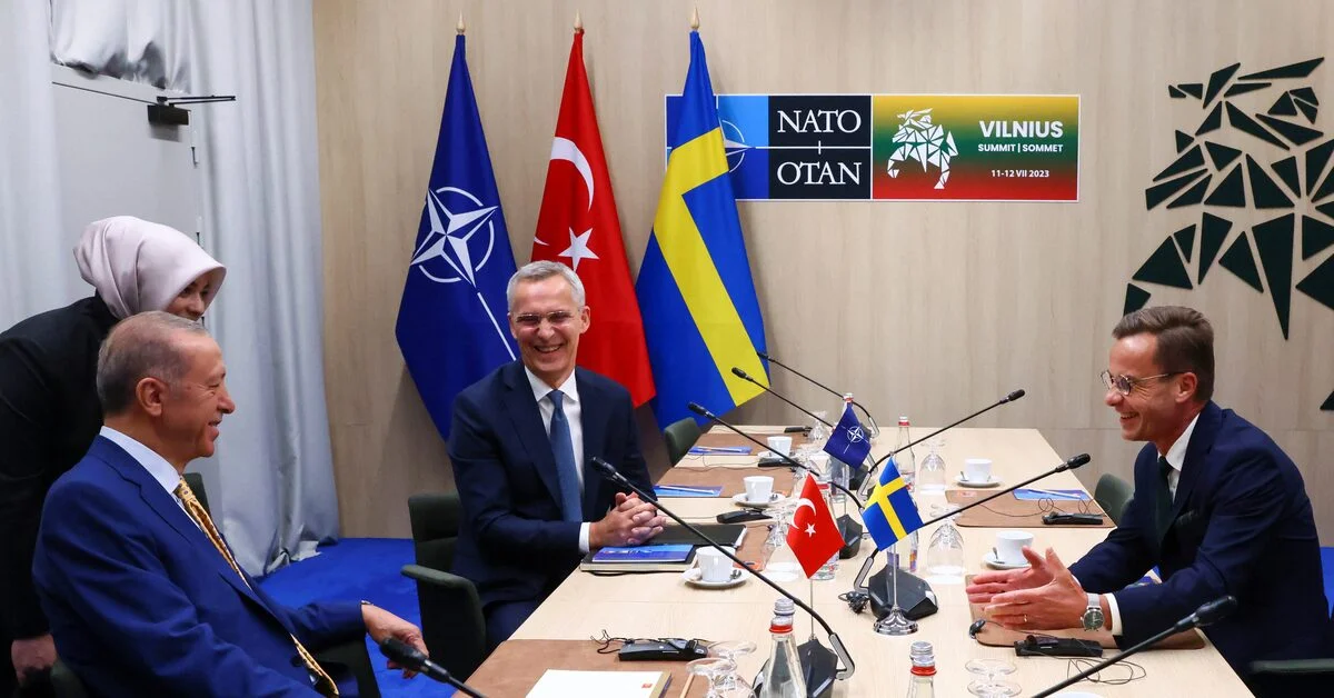 Turkey Supports Sweden's NATO Membership Bid, Clearing Obstacles