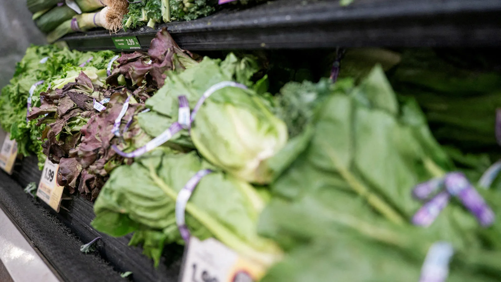Two deaths mark Michigan's largest cyclosporiasis outbreak tied to iceberg lettuce