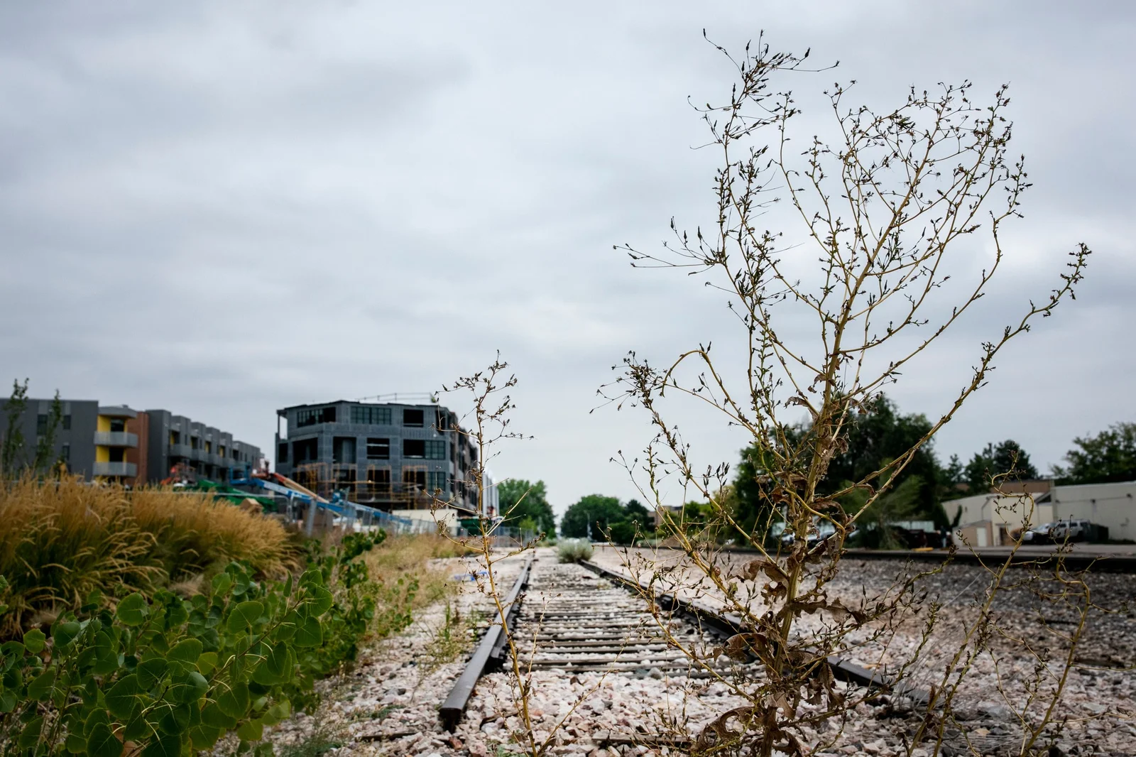 Colorado moves toward Denver–Fort Collins commuter rail with tentative funding plan