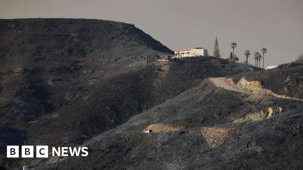 Almería Wildfires in Spain Leave 13 Dead, Including Seven Britons