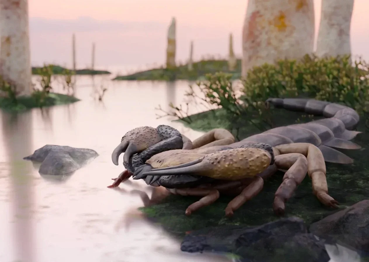 Britain’s Labrador-sized ancient scorpion revealed