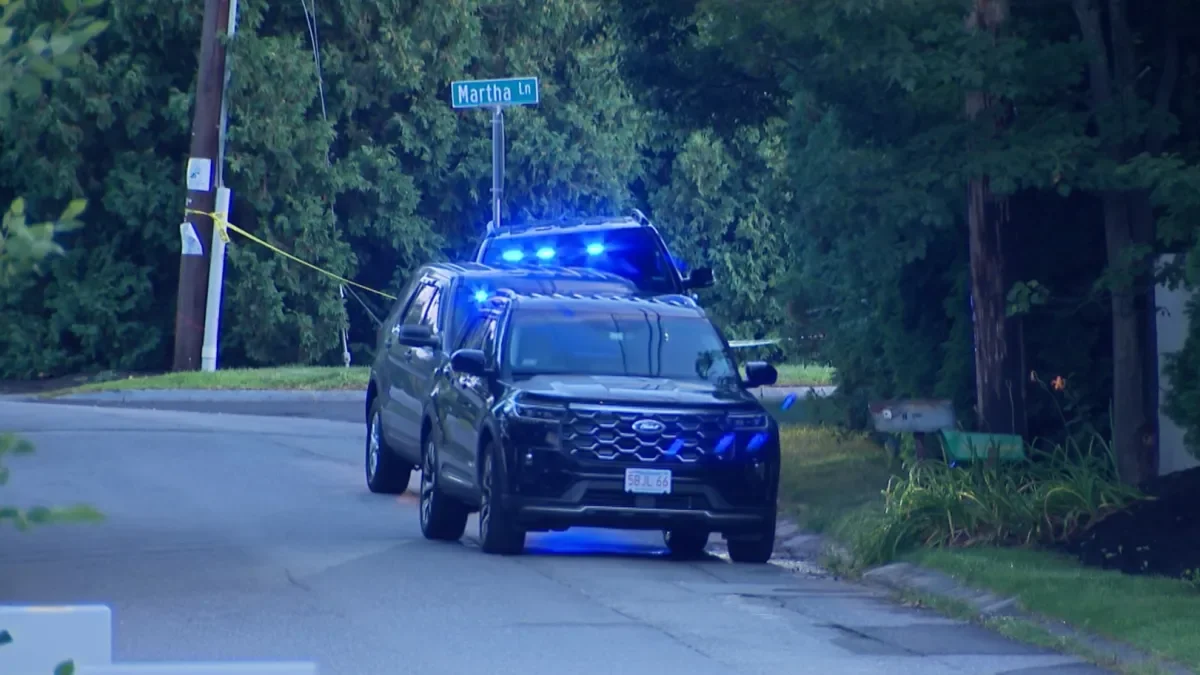 Acton: 17-year-old sought as two relatives found dead
