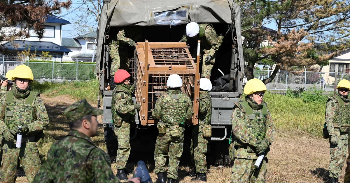 First 2026 bear fatality prompts hunts as Japan tracks two suspected cases