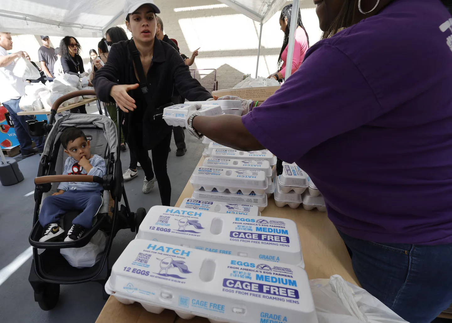 Supreme Court Temporarily Halts Full SNAP Benefits Amid Legal Disputes