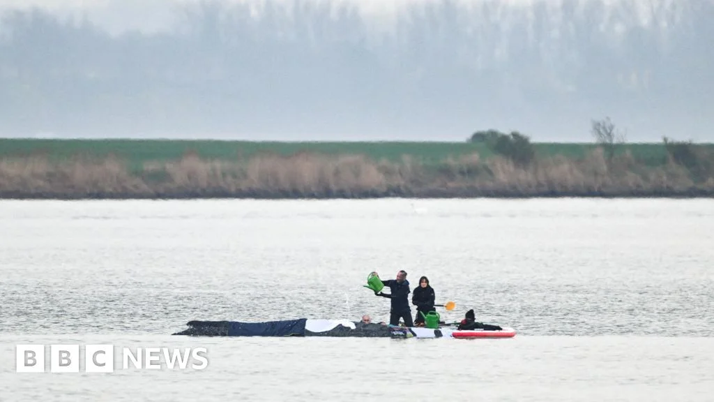 Air Cushions Target New Chance to Free Timmy the Stranded Humpback in Germany