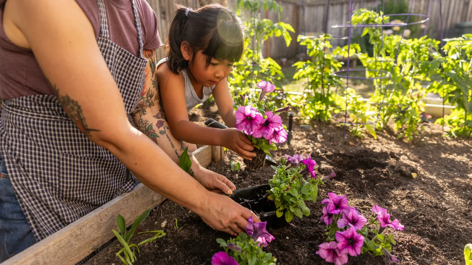 Small Gestures, Big Health: How Kindness and Green Spaces Help Defy Disease