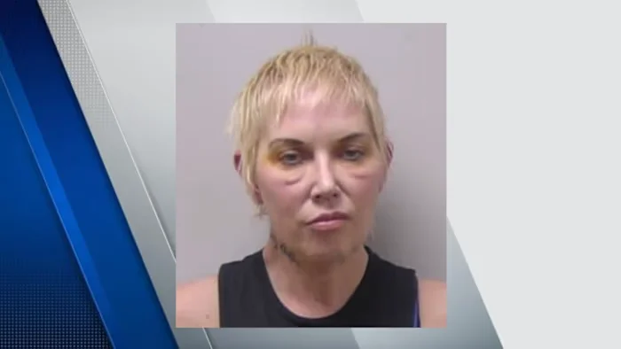 Eminem's ex-wife pleads no contest in Michigan hit-and-run case