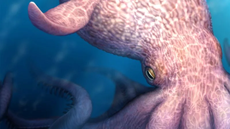 Ancient 60-Foot Octopuses Dominated the Cretaceous Seas