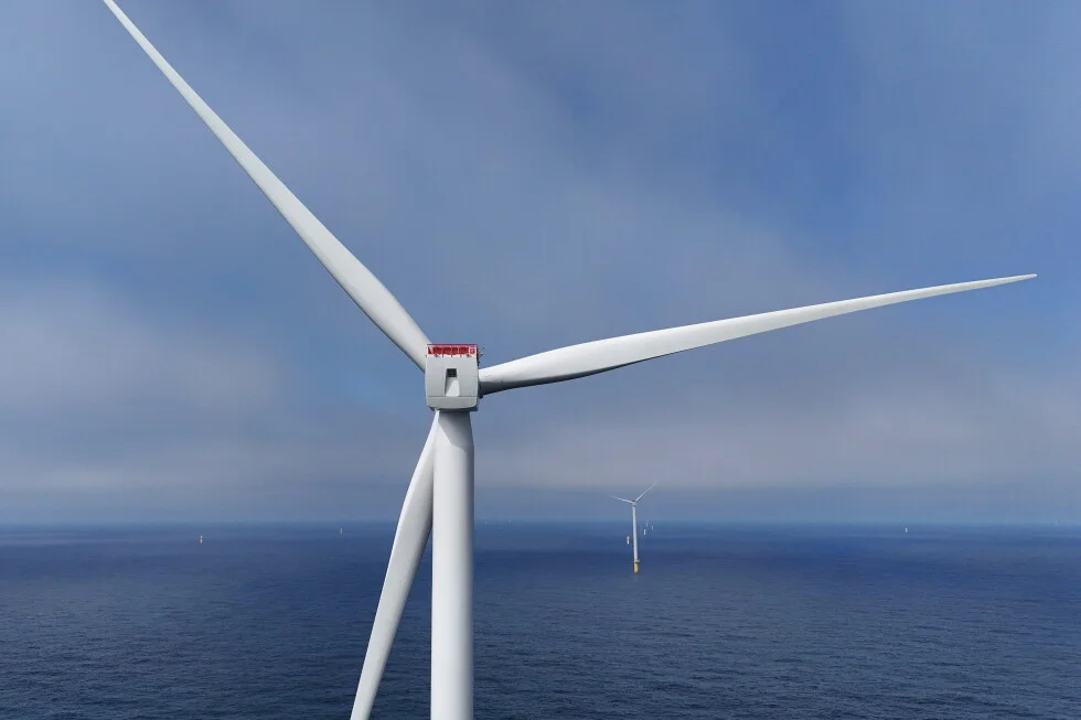 US buys back wind leases to cancel four offshore wind projects