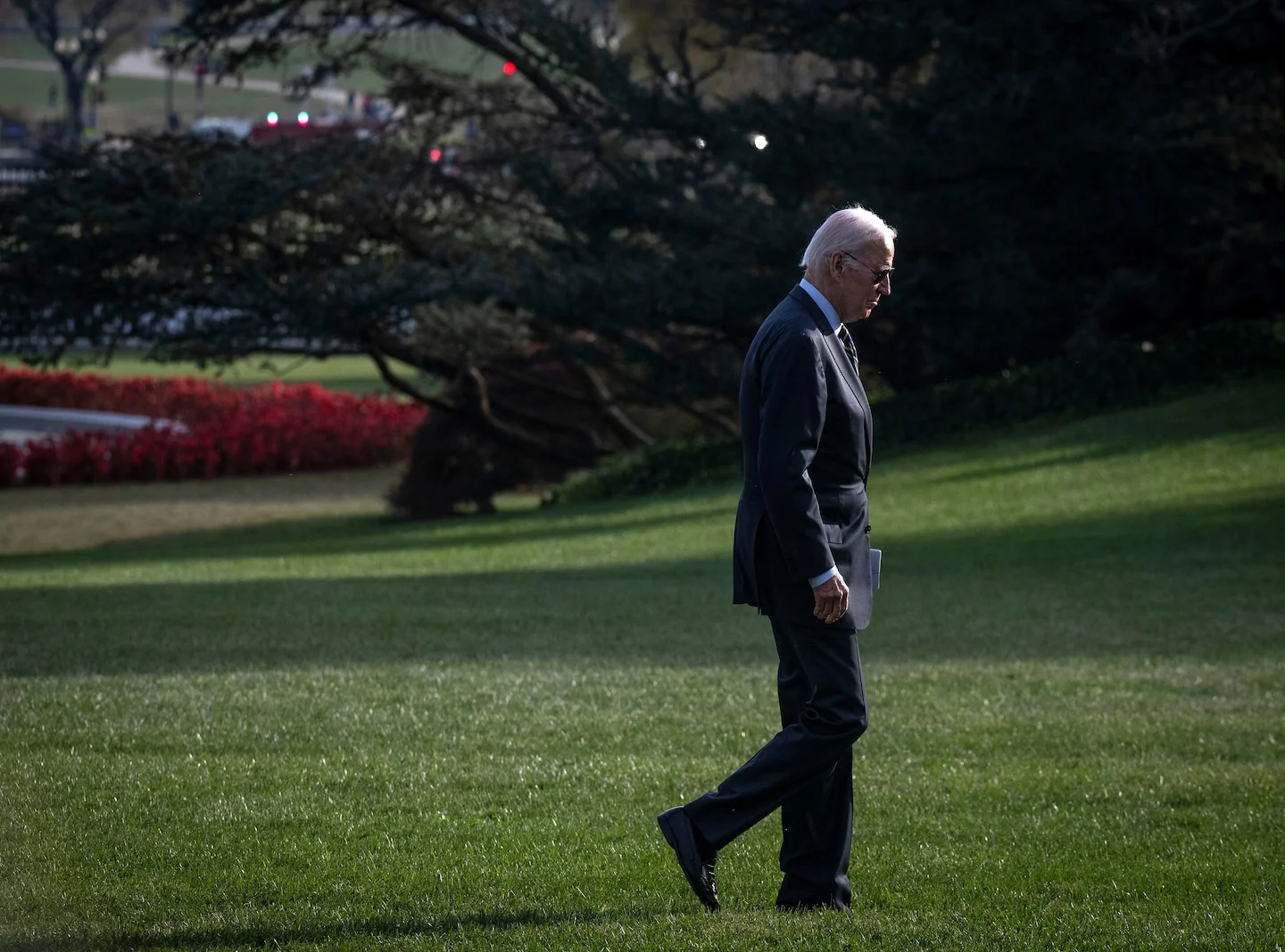 "Challenges, Polls, and Age: The Complexities of Biden's Reelection Bid"