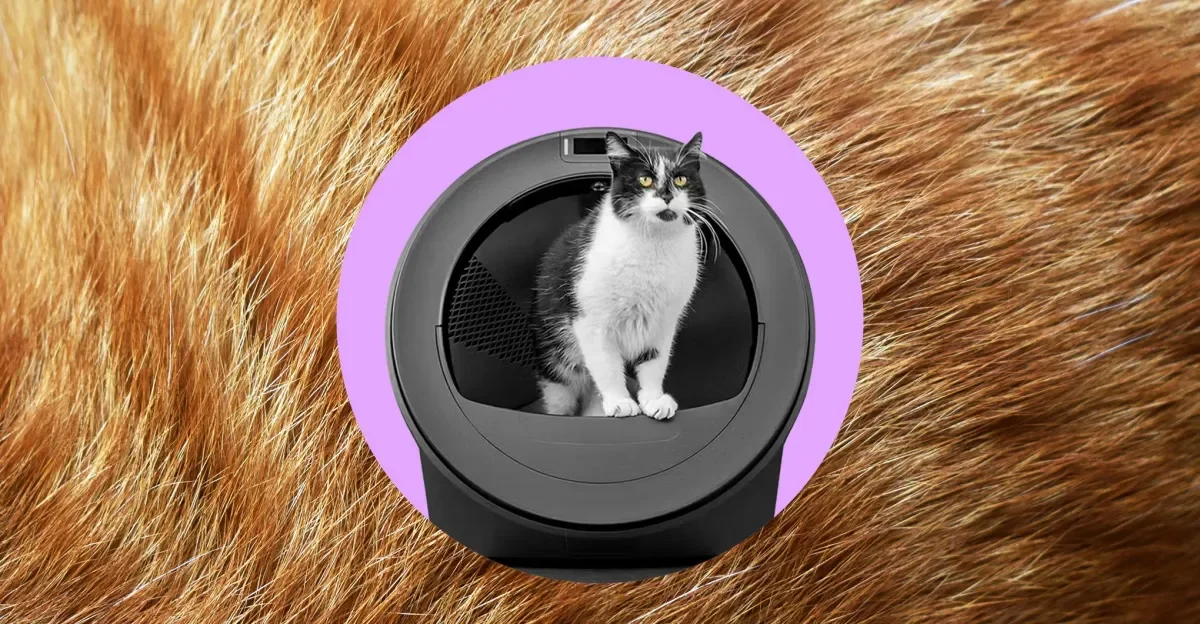 Whisker Litter-Robot 5 Pro: AI Promises Fall Short, Cats Still Can't Tell Apart