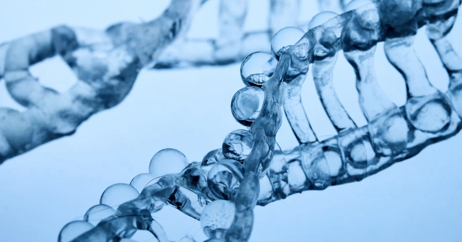 Ancient viral DNA helped shape the human placenta