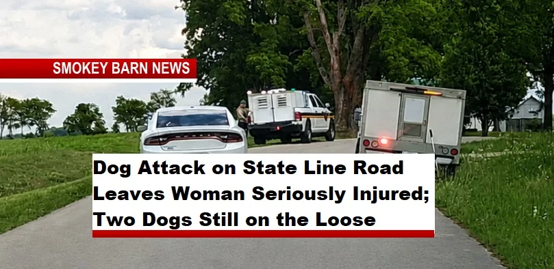 Rabies-Linked Dog Attack Leaves Woman Injured; Two Dogs Still Loose in Robertson County