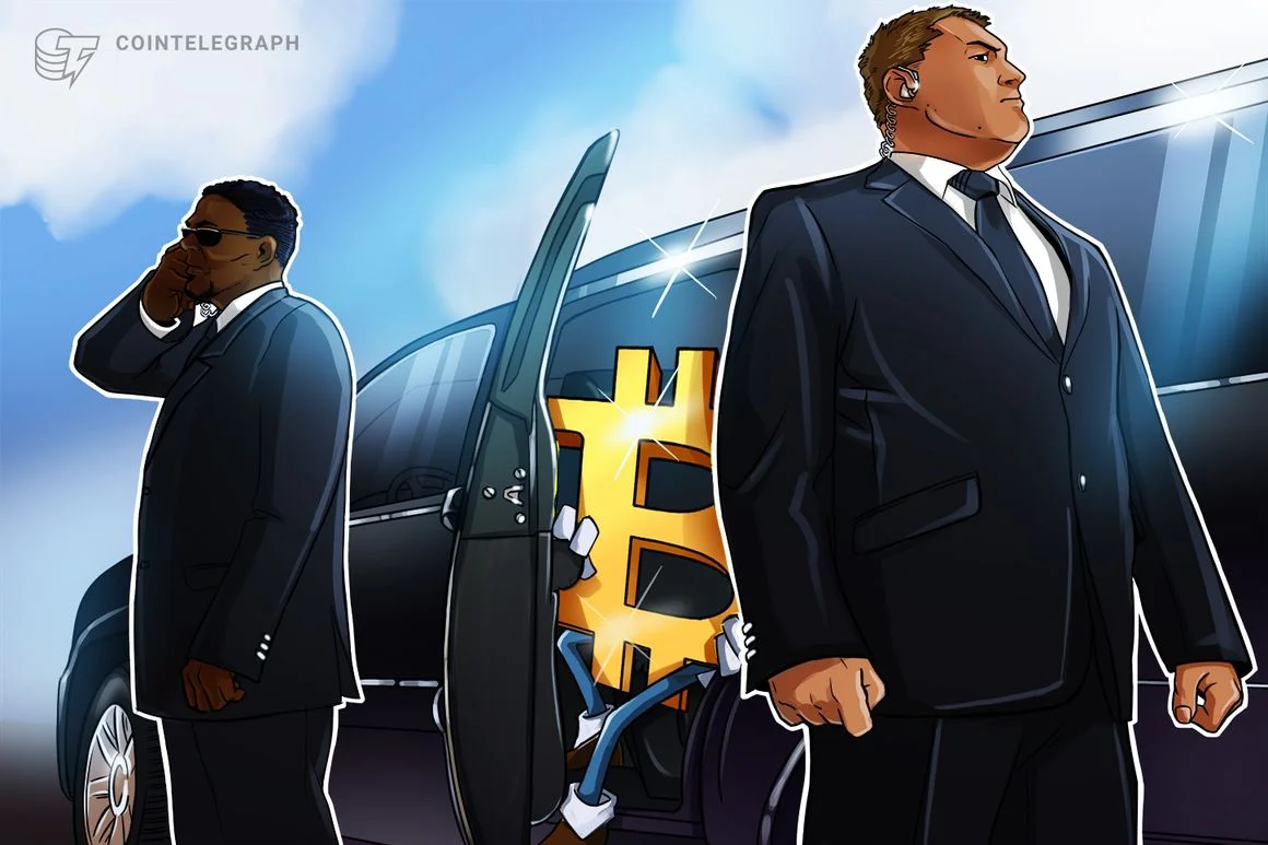 "Bitcoin's Price Volatility Sparks $28K 'Plunge Protection' Measures"