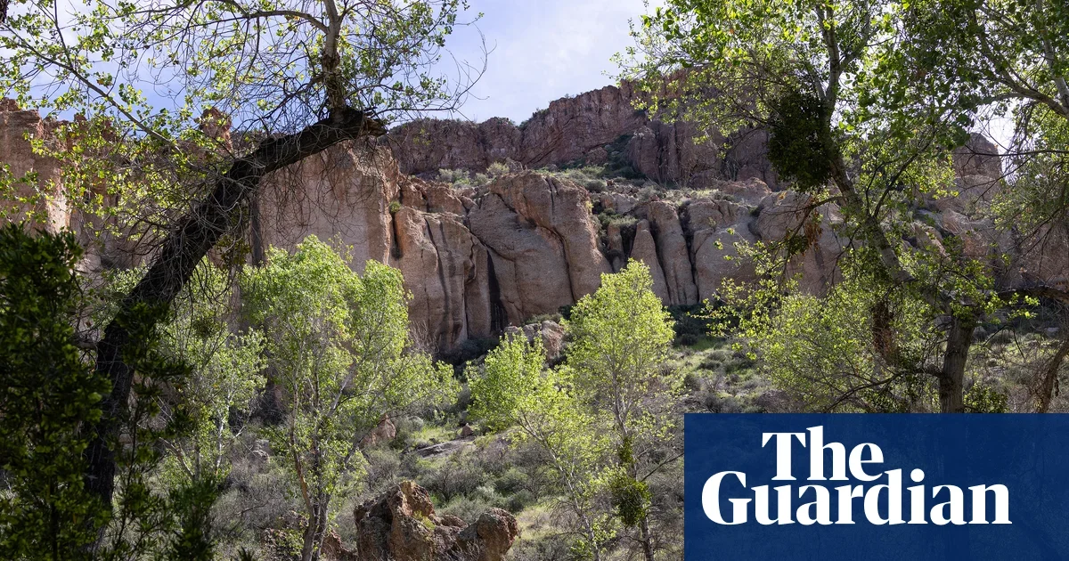 Arizona man pleads guilty to living illegally in forest encampment amid trash