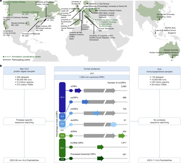 Proteome expanded by microproteins and a new peptidein category