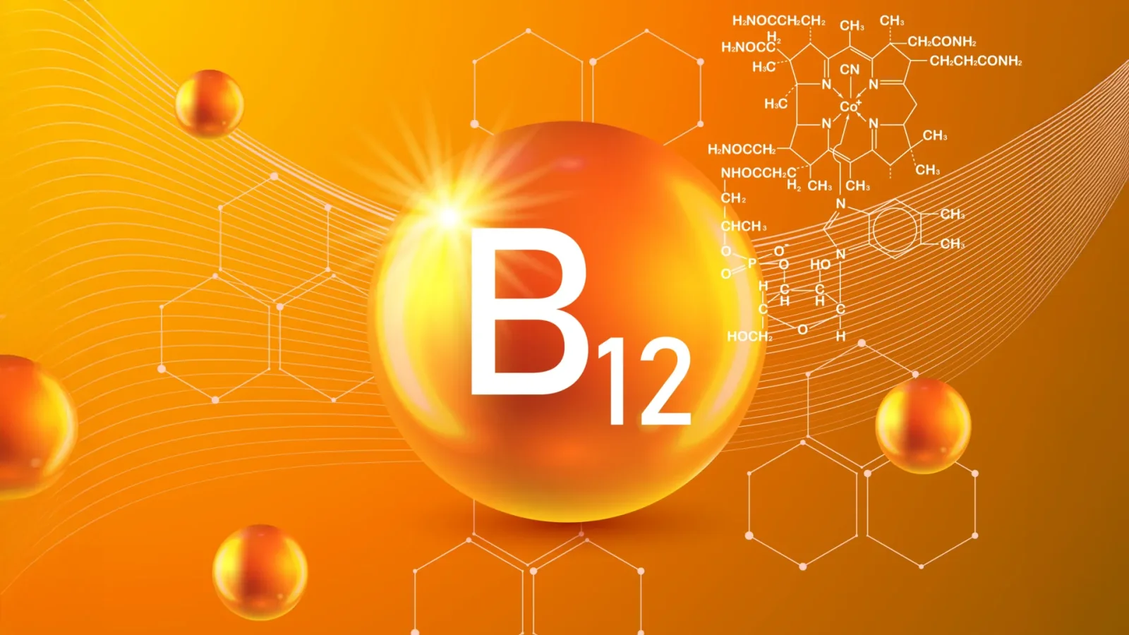 Engineered Spirulina Delivers Bioactive Vitamin B12 for Sustainable Nutrition