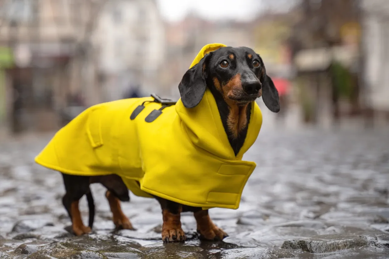 Mother's Day Weather: Showers and Storms Expected Across the US