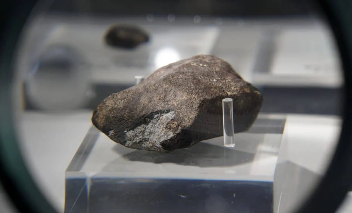 Asteroid Ryugu Carries All Five DNA Bases, Suggesting Spaceborn Prebiotic Chemistry