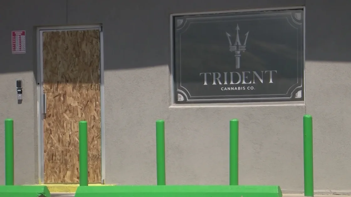 "Thieves Target Local Cannabis Shop, Neighbors Suffer Losses Too"
